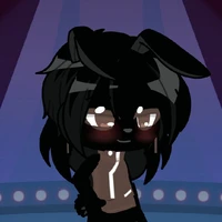 Marco The Lucky Rabbit