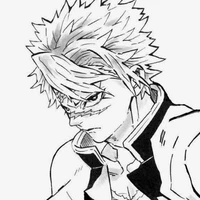 °Shinazugawa Sanemi°