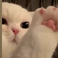 You