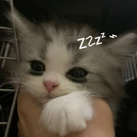 แอดง่วง