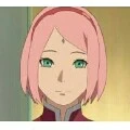 sakura