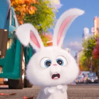 Bun🐰