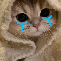 แอดเอง