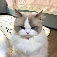 ลิษา(เพื่อนนางเอก)