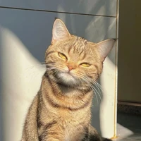 นาเดีย (แม่นางเอก)