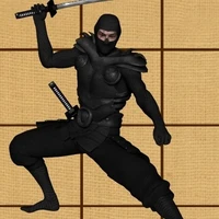 Ninja