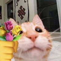 นูนู่(แมวประจำโมริ)