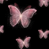 เป็นทุกอย่าง