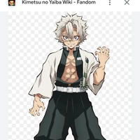 shinazugawa sanemi