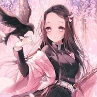 Nezuko Kamado(Human)