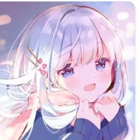 Y/N