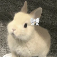 『แอด มุมุ🐰』