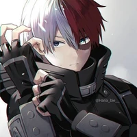 shoto todoroki
