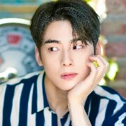 Cha Eun Woo