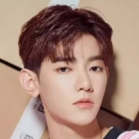 Vino Bastian