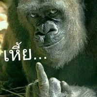 เสาหลัก