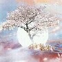 cả trường