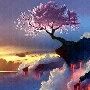 cả lớp