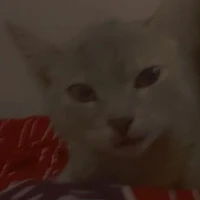 AUTORA