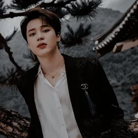 Park Jimin/chim