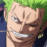 Roennora zoro