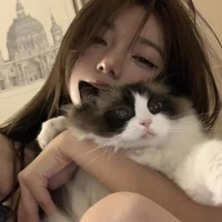 เวนิส เพื่อนนายเอก