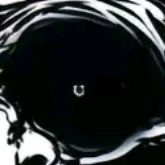ปิปิ