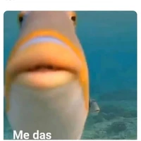 todos