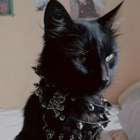P.j