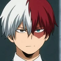 Shoto Todoroki