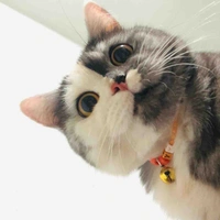 แอดเกข่าบบบ