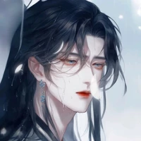 li qi