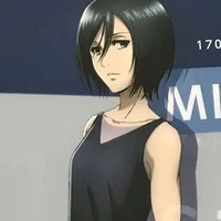 Mikasa