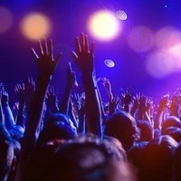 purples at the concert