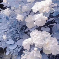 (ยายน้ำฝน)สรรน