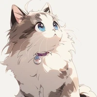Meow