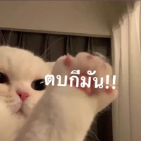 แอดเองงงง