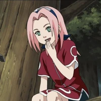 ซากุระ(Sakura)
