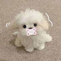 แอดเองงงงงง