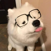 K.chen