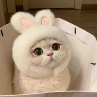 กัมมี่_นอ.