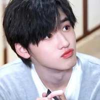 ซ่งย่าเซวียน(นอ.)