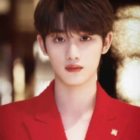 ติงเฉิงซิน(เพื่อนนอ.)