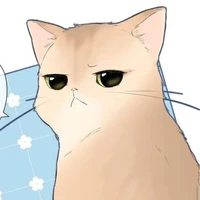 Miada