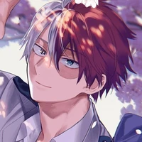 Shoto Todoroki (O.P)