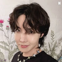 Jeon Hoseok(j hope)