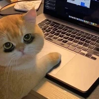 ซันไม่ได้เสพ
