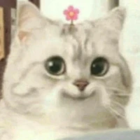 อันนาเด้กเปต