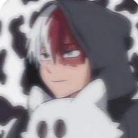 shoto todoroki