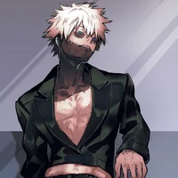 touya todoroki (Alfa) (raza humana)